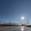 Po River Flood - Dosolo, Mantova, Italy - December 23, 2019 01.jpg