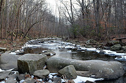 Pohick Creek.jpg