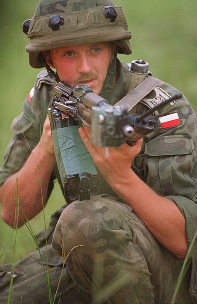 File:Polish AKMS.JPEG