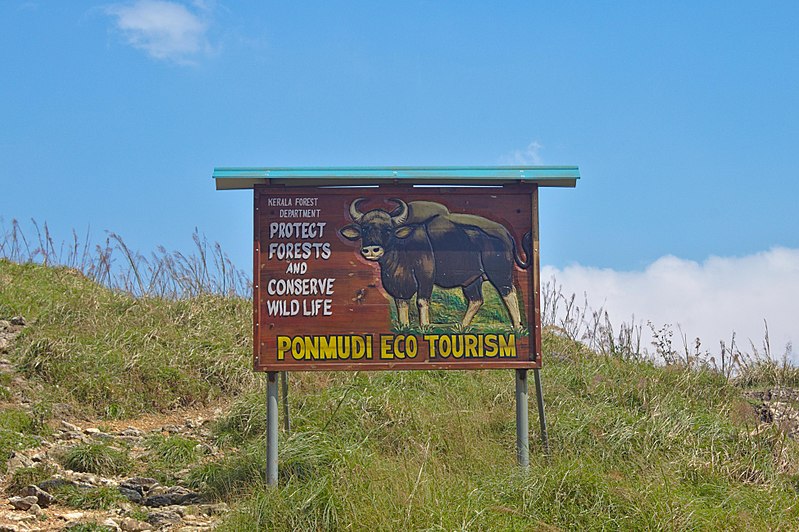 File:Ponmudi Hills 7.jpg