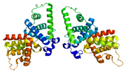 Ақуыз CCNT2 PDB 2ivx.png