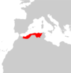 Psammodromus blanci ауқымы Map.png