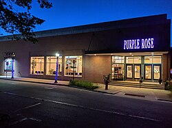 Purple Rose Theatre Night.jpg