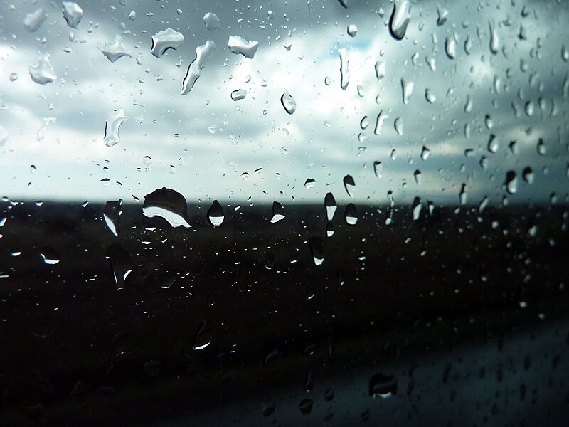 File:Rain (7979852487).jpg