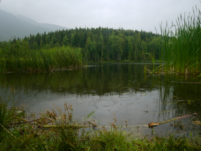 639px-Rain_falls_amongst_the_wetlands_on_the_shores_of_Lake_Seeley.png (639×480)