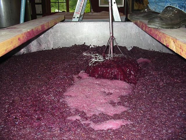 The "cap" of grape skins being "punched down" to maximize maceration.