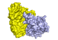 Ricin structure surface.png