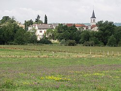 Köyden Rigny-la-Salle (Meuse) görünümü.JPG