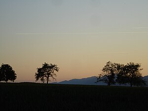 Murgenthal: Geographie, Geschichte, Sehenswürdigkeiten