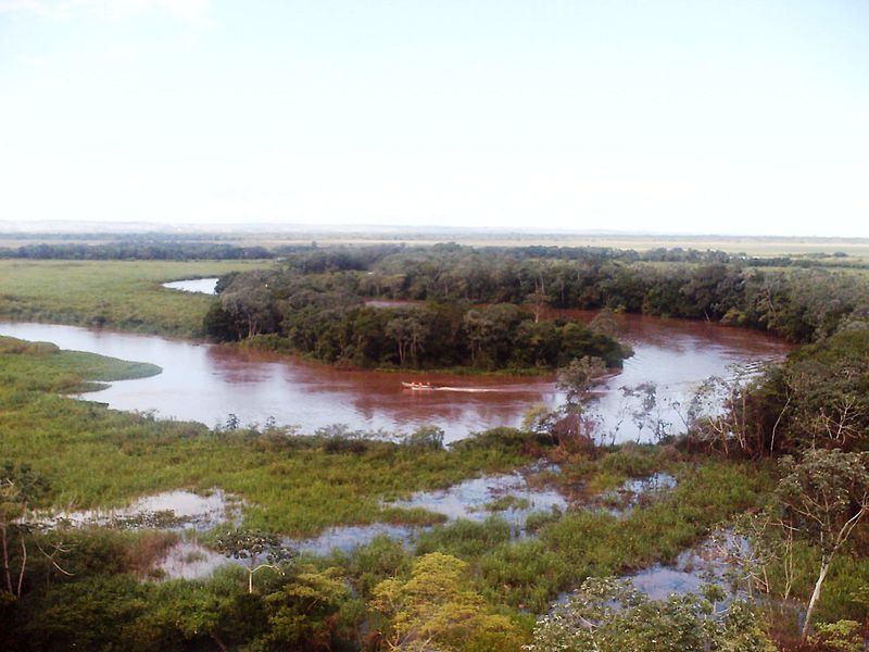 File:Rio Abambai - Parque Nacional da Ilha Grande - Depois da ponte - Mato Grosso.jpg