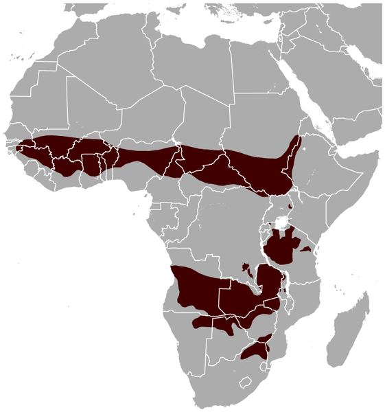 File:Roan Antelope Hippotragus equinus distribution map.png