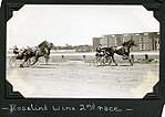 Thumbnail for Rosalind (harness horse)