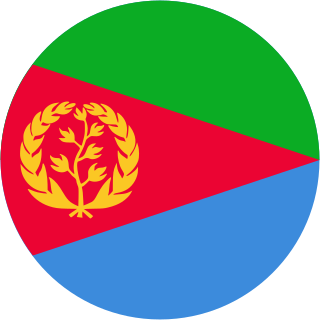 Eritrean Air Force Air warfare branch of Eritreas military
