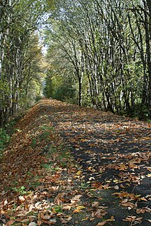 Row River National Recreation Trail