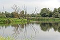 * Nomination Postomia River, the 'Wetlands' trail near Kostrzyn nad Odrą, Ujście Warty National Park --Jakubhal 04:19, 19 September 2023 (UTC) * Promotion  Support Good quality -- Johann Jaritz 04:28, 19 September 2023 (UTC)