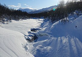 Salangsdalen at Bones.jpg