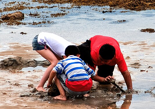 Three children absorbed in building sandcastles