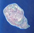 Satellite image of Sapudi Island.png