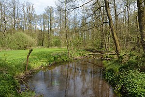 Schleswig-Holstein, Großenaspe, Osterau NIK 6268.jpg