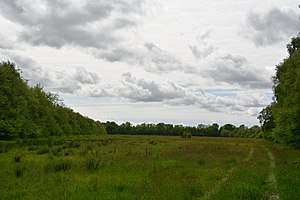 Schleswig-Holstein, Moordiek, Auufer, FFH-Gebiet Moore der Breitenburger Niederung NIK 4350.JPG