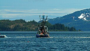 A fishing boat using a seine (a type of net) to fish for salmon in Prince William Sound, United States Seiner fishing for salmon Prince William Sound-2007.jpg