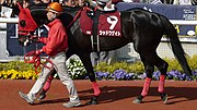 シャドウゲイト (競走馬)のサムネイル