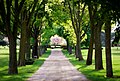 Shalom Memorial Country Lane