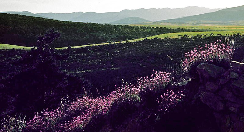 File:Sierra de Ayllón 1975 27.jpg