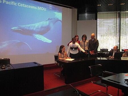 Signing of the Pacific Islands Cetaceans MoU by the United States (Shannon Dionne), Bonn, Germany, 27 September 2012 Signing of the Pacific Islands Cetaceans MoU by the United States, Bonn, Germany, 27 September 2012.JPG