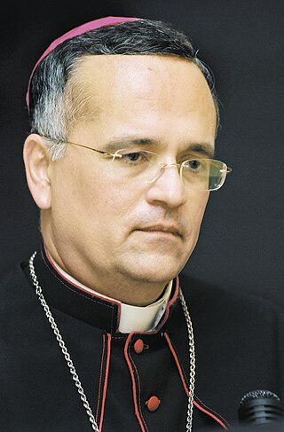 <span class="mw-page-title-main">Silvio José Báez</span> Nicaraguan priest