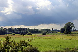 Sint-Martens-Latem-Nature-Summer-2014.JPG