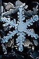 Snow crystals 2b.jpg