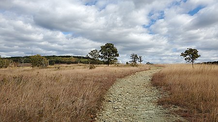 Soldiers Delight Walking Path