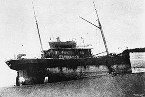 StateLibQld 1 47940 Dicky (ship).jpg