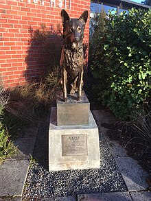 Statue of Rajah, Methven, New Zealand Statue de Rajah, Methven, Nouvelle-Zelande.jpg