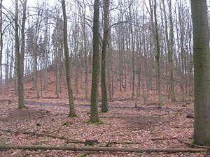 Summit of the Staufenberg