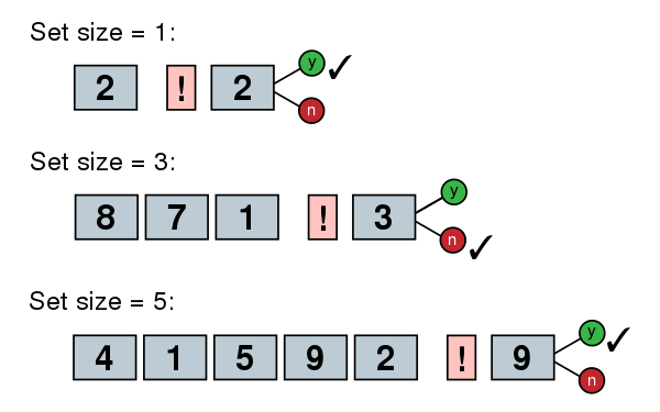 Example of the Sternberg memory-scanning task (figure adapted from Plomin & Spinath, 2002)[58]