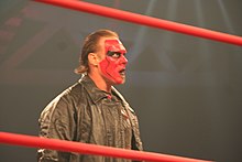 sting wrestler face