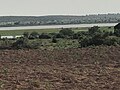 Miniatuur voor Bestand:Teh picture of a bush in shagari sokoto.jpg