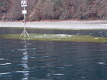 Diving spot devils table at Lake Constanze