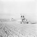 British Crusader and two Shermans on the move at El Alamien, October 1942