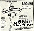 Thumbnail for File:The Desert Flower (1925) - 1.jpg