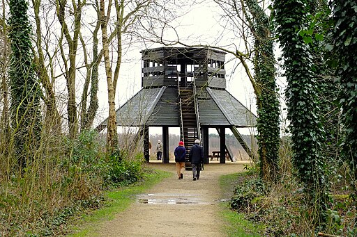 The Tower, Risley Moss Nature Reserve - geograph.org.uk - 4367196
