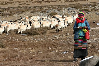 Himalaya: Fysische geografie, Natuur, Sociale geografie