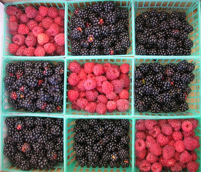 File:Tic-tac-toe berries.jpg