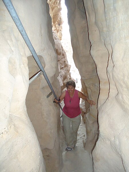 File:Timna Valley Park 459 (9540124408).jpg