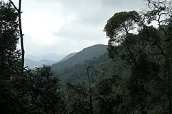 Titiwangsa Range, Malaysia, Mountains 2.jpg