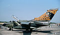 NATO Tiger Meet 1998: A Luftwaffe 45+93-as IDS-e
