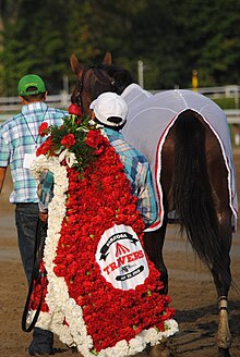 A blanket of flowers is presented to the winner Travers blanket.jpg