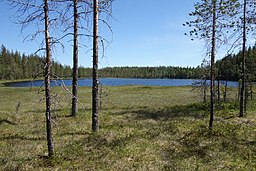 Tribladtjärnen sedd från väster